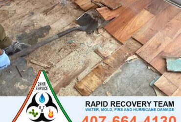 Water Damage Restoration Kissimmee