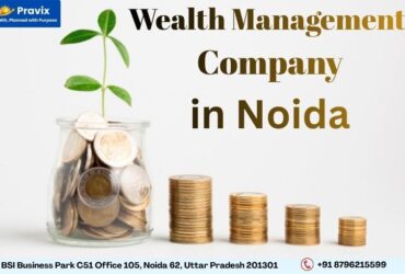 Pravix – Goal-Based Wealth Planning for Indian Families Focused on Financial Freedom