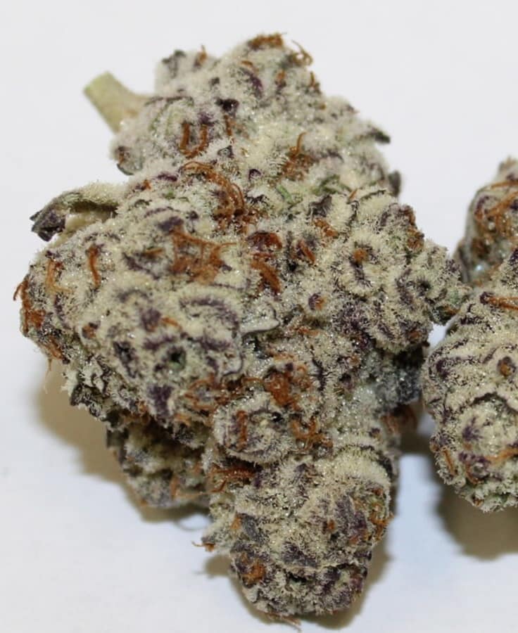 Quality Hybrid Cannabis Flower – Fresh Harvest