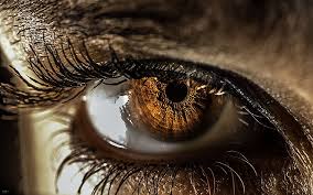 StacyLash Eyelashes