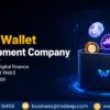 Web Wallet Development Company in India