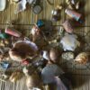฿£⓫ IN Port Elizabeth  [+27764410726] A TRADITIONAL HEALER in vanderbiljpark &Queenstown / SANGOMA  in Port Elizabeth  / A SPELL CASTER AND A SPIRITUAL HEALER in East London , East Rand , Elliot , Engcobo , Fort beaufort , Fourways , Idutywa , Kathu , Kuruman , Lady frère , Lichtenburg , Mount Fletcher , Nelspruit , Paarl, Postmasburg , Qumbu , Randfontein , Siyabuswa , Somerset East , Verulam , Vryeheid , Worcester , Zeerust , cosmo city, randburg, Sasolburg, vanderbiljpark, Botswana, Gaborone,