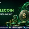 Build Your Own Payment Ecosystem with Stablecoin Development