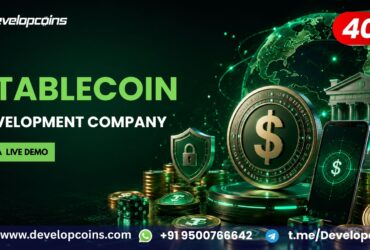 Build Your Own Payment Ecosystem with Stablecoin Development