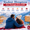 Kashmir Honeymoon Tour Packages from Delhi Travel Guide