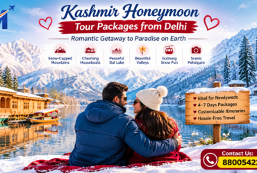 Kashmir Honeymoon Tour Packages from Delhi Travel Guide