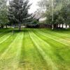 Local Lawn Care Companies in Belgrade