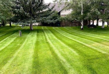Local Lawn Care Companies in Belgrade