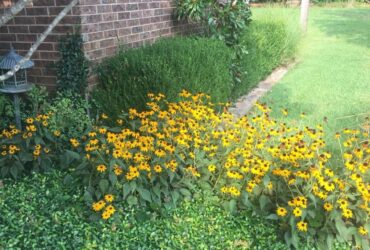 Galvan Landscape Inc.