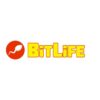 BitLife: Explore Life Through Choices and Endless Possibilities