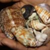 + 256776717197 USA, Win Court Case Spells,Spell to Get Court Case Dropped Call + 256776717197 USA, CANADA,Johannesburg Spells to Win Court Cases + 256776717197 Top best Spiritual healer specialist Papa Rajesh cast helpful enchantment court case spells which absolutely makes court cases, separate cases, and obligations cases,   + 256776717197 # vodo court cases, devorce cases,muder case, froud case destroyer vodo/ black magic court cases,mariage/devorce spell caster in denmark,uk,sweden,uk canada,australia,germanyINDIA I NEED A LOVE SPELL CASTER , BRING BACK MY EX LOVER New York City, New York.San Francisco, California.Los Angeles Chicago, Illinois Houston, TexasBoston, Massachusetts Seattle, Washington.+ 256776717197. Spells for Child Custody Court Cases, Spells to Win a Court Case, spells LOVE SPELLS THAT WORK OVERNIGHT IN USA Canada , Denmark, Usa, South Africa Thailand, Sweden, Houston, Sweden, Dalton, Zurich, Lebanon, Bahamas, Italy, Tennessee, Texas, Virginia, Washington,Wisconsin, Wyoming Virgin Islands – Malta,United States,United Kingdom,Greece,Cyprus,United Arab Emirates,Italy, Norway,Singapore.,Luxembourg,Switzerland,Ireland,Qatar.Brunei Darussalam,Canada England+ 256776717197. Spells for Child Custody Court Cases, Spells to Win a Court Case, spells   WIN FEDERAL COURT CASE SPELLS CASTER + 256776717197 Singapore Get out of jail spells caster + 256776717197 WIN COURT CASE SPELL USA DEATH SPELL …|lost love spells caster in Dallas, Texas bring back lost lover …uk Canada , Denmark, Usa, South Africa Thailand, Sweden, Houston, Sweden, Dalton, Zurich, Lebanon, Bahamas, Italy, Tennessee, Texas, Virginia, Washington,Wisconsin, Wyoming Virgin Islands – Malta,United States,United Kingdom,Greece,Cyprus,United Arab Emirates,Italy, Norway,Singapore.,Luxembourg,Switzerland,Ireland,Qatar.Brunei Darussalam,Canada England  WIN COURT CASE SPELLS CASTER+ 256776717197 Singapore spells to avoid doing jail time court case spell, Ireland,Dublin Kosovo, Pristina Latvia,Riga  Liechtenstein ,Vaduz Lithuania,Vilnius Luxembourg Malta , Valletta Moldova,ChişinăuMonaco,Monaco Montenegro,Podgorica Netherlands,Amsterdam ,Skopje Norway,Oslo Poland,Warsaw,Portugal,Lisbon Romania ,Bucharest Russia, Moscow San Marino,Serbia ,Belgrade Slovakia,Bratislava Slovenia,Ljubljana Spain ,Madrid Sweden,Stockholm Switzerland ,Bern Canada , Denmark, Usa, South Africa Thailand, Sweden, Houston, Sweden, Dalton, Zurich, Lebanon, Bahamas, Italy, Tennessee, Texas, Virginia, Washington,Wisconsin, Wyoming Virgin Islands – Malta,United States,United Kingdom,Greece,Cyprus,United Arab Emirates,Italy, Norway,Singapore.,Luxembourg,Switzerland,Ireland,Qatar.Brunei Darussalam,Canada England Turkey,Ankara Ukraine,Kyiv United Kingdom,London Vatican City  + 256776717197 HOW TO WIN COURT CASES WITH POWERFUL COURT SPELL TO KEEP YOU OUT OF CRIMES Ireland,Dublin Kosovo, Pristina Latvia,Riga Liechtenstein ,Vaduz Lithuania,Vilnius Luxembourg Malta , Valletta Moldova,ChişinăuMonaco,Monaco Montenegro,Podgorica Netherlands,Amsterdam ,Skopje Norway,Oslo Poland,Warsaw,Portugal,Lisbon Romania ,Bucharest Russia, Moscow San Marino,Serbia ,Belgrade Slovakia,Bratislava Slovenia,Ljubljana Spain ,Madrid Sweden,Stockholm Switzerland ,Bern Canada , Denmark, Usa, South Africa Thailand, Sweden, Houston, Sweden, Dalton, Zurich, Lebanon, Bahamas, Italy, Tennessee, Texas, Virginia, Washington,Wisconsin, Wyoming Virgin Islands – Malta,United States,United Kingdom,Greece,Cyprus,United Arab Emirates,Italy, Norway,Singapore.,Luxembourg,Switzerland,Ireland,Qatar.Brunei Darussalam,Canada England Turkey,Ankara Ukraine,Kyiv United Kingdom,London Vatican City  + 256776717197 Fertility spells caster,+ 256776717197UK,LONDON love spell caster | win court case spell | Family evil curse removal spells caster | business rescue spells to boom business spells Ireland,Dublin Kosovo, Pristina Latvia,Riga  Liechtenstein ,Vaduz Lithuania,Vilnius Luxembourg Malta , Valletta Moldova,ChişinăuMonaco,Monaco Montenegro,Podgorica Netherlands,Amsterdam ,Skopje Norway,Oslo Poland,Warsaw,Portugal,Lisbon Romania ,Bucharest Russia, Moscow San Marino,Serbia ,Belgrade Slovakia,Bratislava Slovenia,Ljubljana Spain ,Madrid Sweden,Stockholm Switzerland ,Bern Canada , Denmark, Usa, South Africa Thailand, Sweden, Houston, Sweden, Dalton, Zurich, Lebanon, Bahamas, Italy, Tennessee, Texas, Virginia, Washington,Wisconsin, Wyoming Virgin Islands – Malta,United States,United Kingdom,Greece,Cyprus,United Arab Emirates,Italy, Norway,Singapore.,Luxembourg,Switzerland,Ireland,Qatar.Brunei Darussalam,Canada England Turkey,Ankara Ukraine,Kyiv United Kingdom,London Vatican City  + 256776717197Court case spells to win divorce settlements, win child custody spells, Mantra To Control your Husband, Canada , Denmark, Usa, South Africa Thailand, Sweden, Houston, Sweden, Dalton, Zurich, Lebanon, Bahamas, Italy, Tennessee, Texas, Virginia, Washington,Wisconsin, Wyoming Virgin Islands – Malta,United States,United Kingdom,Greece,Cyprus,United Arab Emirates,Italy, Norway,Singapore.,Luxembourg,Switzerland,Ireland,Qatar.Brunei Darussalam,Canada England  + 256776717197WIN COURT CASE SPELLS CASTER + 256776717197 SPECIAL Visa Problem Solution Spells Ireland,Dublin Kosovo, Pristina Latvia,Riga Liechtenstein ,Vaduz Lithuania,Vilnius Luxembourg Malta , Valletta Moldova,ChişinăuMonaco,Monaco Montenegro,Podgorica Netherlands,Amsterdam ,Skopje Norway,Oslo Poland,Warsaw,Portugal,Lisbon Romania ,Bucharest Russia, Moscow San Marino,Serbia ,Belgrade Slovakia,Bratislava Slovenia,Ljubljana Spain ,Madrid Sweden,Stockholm Switzerland ,Bern Canada , Denmark, Usa, South Africa Thailand, Sweden, Houston, Sweden, Dalton, Zurich, Lebanon, Bahamas, Italy, Tennessee, Texas, Virginia, Washington,Wisconsin, Wyoming Virgin Islands – Malta,United States,United Kingdom,Greece,Cyprus,United Arab Emirates,Italy, Norway,Singapore.,Luxembourg,Switzerland,Ireland,Qatar.Brunei Darussalam,Canada England Turkey,Ankara Ukraine,Kyiv United Kingdom,London Vatican City   + 256776717197win court appeal Court Case Winning Spells + 256776717197 BAHRAIN, win divorce court case Canada , Denmark, Usa, South Africa Thailand, Sweden, Houston, Sweden, Dalton, Zurich, Lebanon, Bahamas, Italy, Tennessee, Texas, Virginia, Washington,Wisconsin, Wyoming Virgin Islands – Malta,United States,United Kingdom,Greece,Cyprus,United Arab Emirates,Italy, Norway,Singapore.,Luxembourg,Switzerland,Ireland,Qatar.Brunei Darussalam,Canada England  IMMEDIATE BLACK MAGIC COURT CASE SPELLS CASTER ..+ 256776717197 . WhatsApp spells to win court cases Spells on-#Win Court Cases+ 256776717197 Wicca court justice spell Georgia, white magic love spell canada Ireland,Dublin Kosovo, Pristina Latvia,Riga Liechtenstein ,Vaduz Lithuania,Vilnius Luxembourg Malta , Valletta Moldova,ChişinăuMonaco,Monaco Montenegro,Podgorica Netherlands,Amsterdam ,Skopje Norway,Oslo Poland,Warsaw,Portugal,Lisbon Romania ,Bucharest Russia, Moscow San Marino,Serbia ,Belgrade Slovakia,Bratislava Slovenia,Ljubljana Spain ,Madrid Sweden,Stockholm Switzerland ,Bern Canada , Denmark, Usa, South Africa Thailand, Sweden, Houston, Sweden, Dalton, Zurich, Lebanon, Bahamas, Italy, Tennessee, Texas, Virginia, Washington,Wisconsin, Wyoming Virgin Islands – Malta,United States,United Kingdom,Greece,Cyprus,United Arab Emirates,Italy, Norway,Singapore.,Luxembourg,Switzerland,Ireland,Qatar.Brunei Darussalam,Canada England Turkey,Ankara Ukraine,Kyiv United Kingdom,London Vatican City   + 256776717197Win Court Case With Magic Spell Court Cases/Court Case Spells Worldwide Voodoo Spells to Win a Court Case .Win Court Case Spells – + 256776717197 Ireland,Dublin Kosovo, Pristina Latvia,Riga Liechtenstein ,Vaduz Lithuania,Vilnius Luxembourg Malta , Valletta Moldova,ChişinăuMonaco,Monaco Montenegro,Podgorica Netherlands,Amsterdam ,Skopje Norway,Oslo Poland,Warsaw,Portugal,Lisbon Romania ,Bucharest Russia, Moscow San Marino,Serbia ,Belgrade Slovakia,Bratislava Slovenia,Ljubljana Spain ,Madrid Sweden,Stockholm Switzerland ,Bern Canada , Denmark, Usa, South Africa Thailand, Sweden, Houston, Sweden, Dalton, Zurich, Lebanon, Bahamas, Italy, Tennessee, Texas, Virginia, Washington,Wisconsin, Wyoming Virgin Islands – Malta,United States,United Kingdom,Greece,Cyprus,United Arab Emirates,Italy, Norway,Singapore.,Luxembourg,Switzerland,Ireland,Qatar.Brunei Darussalam,Canada England Turkey,Ankara Ukraine,Kyiv United Kingdom,London Vatican CityAl Ahmadi , Ḩawallī , Şabāḩ as Sālim,Kabīr Al Farwānīyah  + 256776717197hoodoo Voodoo Spells to Win a Court Case+ 256776717197 Win Court Case Spells North Carolina  + 256776717197Voodoo Spells to Win a Court Case .Win Court Case Spells + 256776717197South Carolina USA UK Canada London Ireland Sweden Switzerland Ireland,Dublin Kosovo, Pristina Latvia,Riga Liechtenstein ,Vaduz Lithuania,Vilnius Luxembourg Malta , Valletta Moldova,ChişinăuMonaco,Monaco Montenegro,Podgorica Netherlands,Amsterdam ,Skopje Norway,Oslo Poland,Warsaw,Portugal,Lisbon Romania ,Bucharest Russia, Moscow San Marino,Serbia ,Belgrade Slovakia,Bratislava Slovenia,Ljubljana Spain ,Madrid Sweden,Stockholm Switzerland ,Bern Canada , Denmark, Usa, South Africa Thailand, Sweden, Houston, Sweden, Dalton, Zurich, Lebanon, Bahamas, Italy, Tennessee, Texas, Virginia, Washington,Wisconsin, Wyoming Virgin Islands – Malta,United States,United Kingdom,Greece,Cyprus,United Arab Emirates,Italy, Norway,Singapore.,Luxembourg,Switzerland,Ireland,Qatar.Brunei Darussalam,Canada England Turkey,Ankara Ukraine,Kyiv United Kingdom,London Vatican City   + 256776717197Win Court Case With Magic Spells Court Case Spells+ 256776717197How to stop your divorce separation from happening  + 256776717197Love spells Stop your divorce/separation from happening. Nevada, New Hampshire, New Jersey, New Mexico, New York, North Carolina, North Dakota, Ohio, Oklahoma, Oregon,  + 256776717197London Spells to Win Court Cases | Poweful Spell Caster+ 256776717197 }{Win court cases,job promotions and tenders using spiritual powers for success  + 256776717197Manchester Court Case Spells | Voodoo Spells to Win a Court cases+ 256776717197Al Ahmadi , Ḩawallī , Şabāḩ as Sālim,Kabīr Al Farwānīyah  How To Win A Court Case Using Magic Spells?+ 256776717197  Court case spells to win any legal matter & stay out of jail. Legal spells to influence court verdict in your favor. Spells to get a court case dismissed or freeze a court. Get justice, fix your legal matters, get child custody & make the judge rule in your favor using voodoo court spells & witchcraft court case spells. Stop a court case against you & make all your legal problems disappear using court case freezer spells. Prevent witnesses from testifying against you or make them give testimonies that do not implicate you using court case freezer spells. Win any court case with powerful court victory spells. Make the charges against you be dropped & win any legal case using powerful court spells to have charges against you be dropped. My court spells will help you have criminal & civil court cases against you be dropped. Spiritually influence the outcome of legal matters in your favor using court spells to have your charges dropped. Win any legal matter using legal spells that will align the ancestral spirits & universal forces on your side & change your destiny. Legal spells to freeze a court case, legal spells to have charges dropped against you, legal spells to help you get out of jail & legal spells to have a court case dismissed. Court spells to help you get out of jail. Court spells to cause your court case to be dismissed & get you out of jail. Doesn't matter how many years someone has been in jail my powerful court spells will help you legally get out of jail. Shield yourself from arrest & jail using court spells. Justice spells to make someone who has harmed you & gotten away with it to suffer pain & experience disaster. Voodoo justice spells & Wiccan justice spells.  World Court case spells to win any legal matter & stay out of jail. Legal spells to influence court verdict in your favor. Spells to get a court case dismissed or freeze a court. Get justice, fix your legal matters, get child custody & make the judge rule in your favor using voodoo court spells & witchcraft court case spells. + 256776717197 Stop a court case against you & make all your legal problems disappear using court case freezer spells. Prevent witnesses from testifying against you or make them give testimonies that do not implicate you using court case freezer spells. Win any court case with powerful court victory spells. + 256776717197  Make the charges against you be dropped & win any legal case using powerful court spells to have charges against you be dropped. My court spells will help you have criminal & civil court cases against you be dropped. Spiritually influence the outcome of legal matters in your favor using court spells to have your charges dropped.  Win any legal matter using legal spells that will align the ancestral spirits & universal forces on your side & change your destiny. Legal spells to freeze a court case, legal spells to have charges dropped against you, legal spells to help you get out of jail & legal spells to have a court case dismissed. + 256776717197  Cour spells to help you get out of jail. Court spells to cause your court case to be dismissed & get you out of jail. Doesn't matter how many years someone has been in jail my powerful court spells will help you legally get out of jail. Shield yourself from arrest & jail using court spells.Justice spells to make someone who has harmed you & gotten away with it to suffer pain & experience disaster. Voodoo justice spells & Wiccan justice spells. / EMAIL :mapesalupita@gmail.com